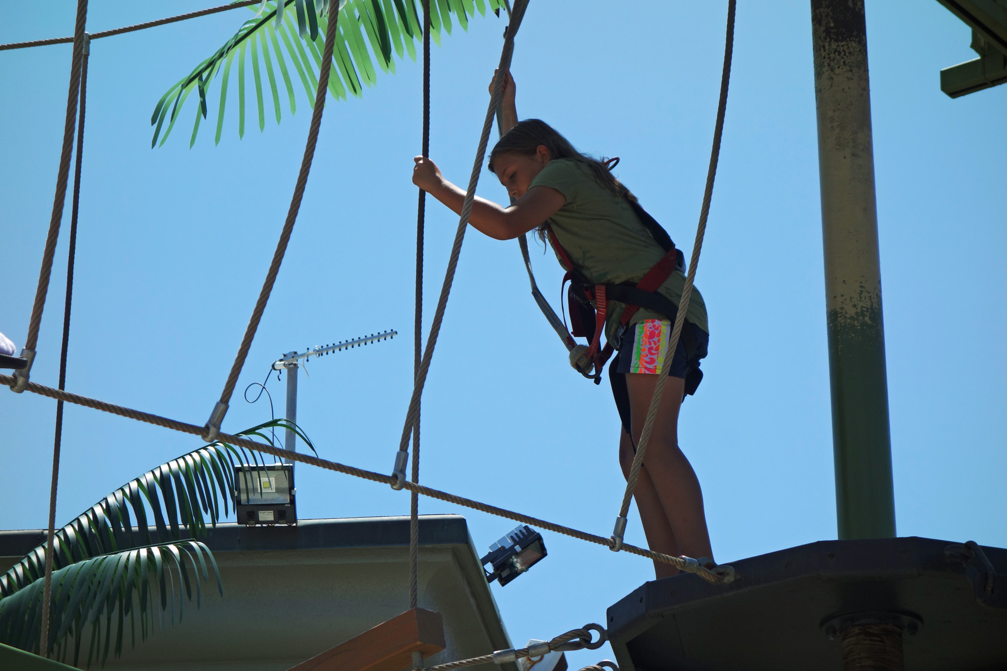 DSC06669 4190