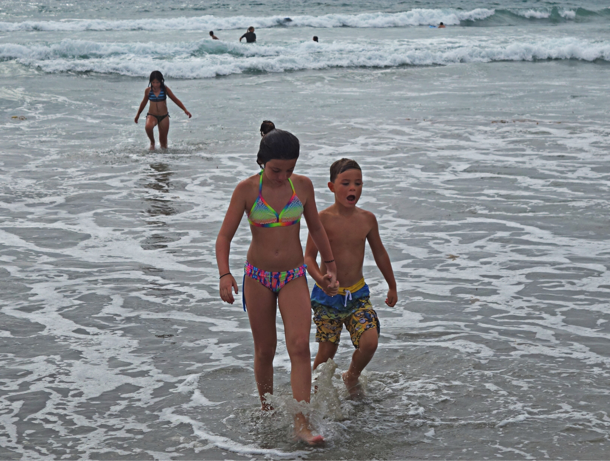 DSC07287 4531