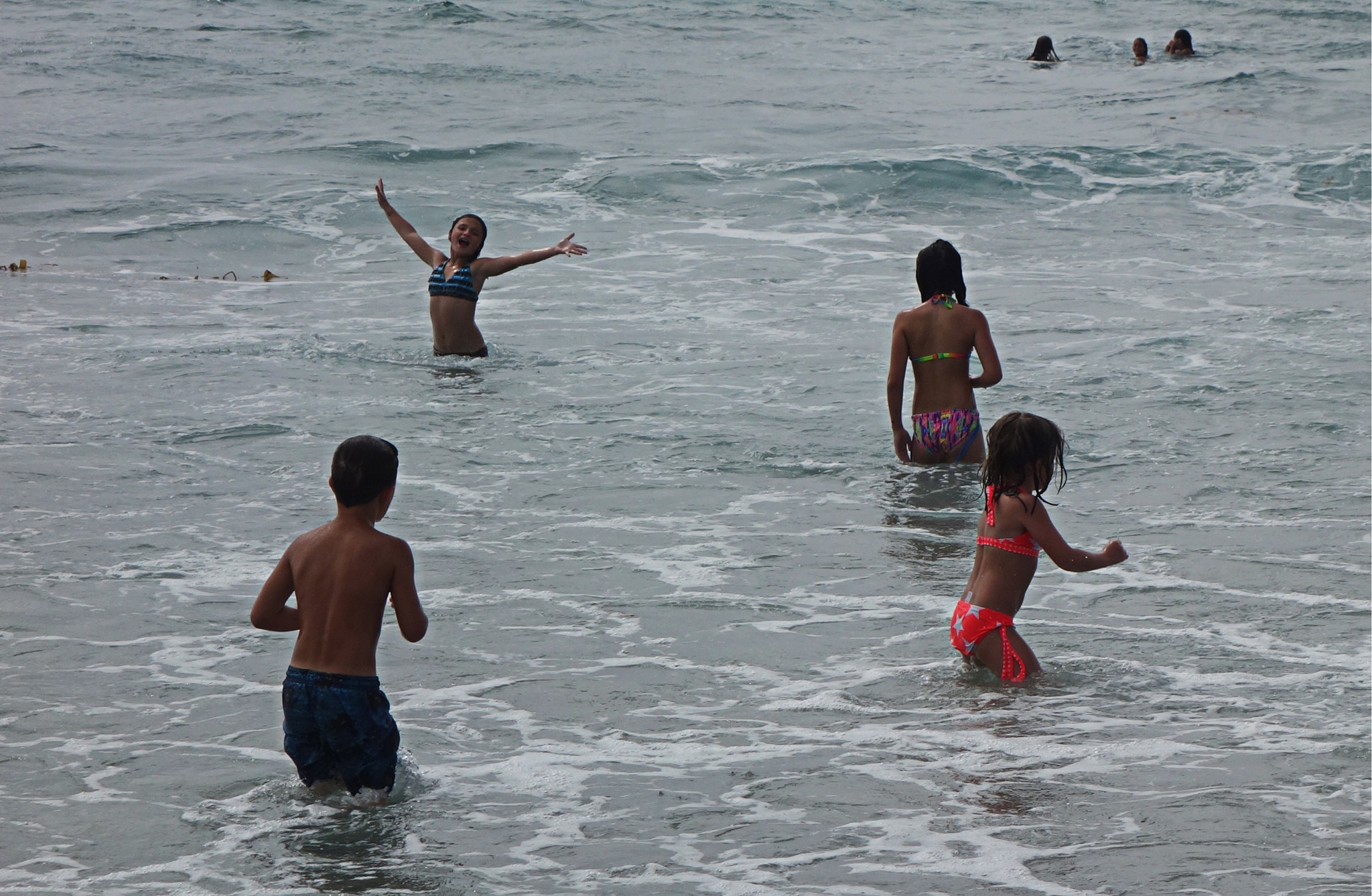 DSC07352 4459