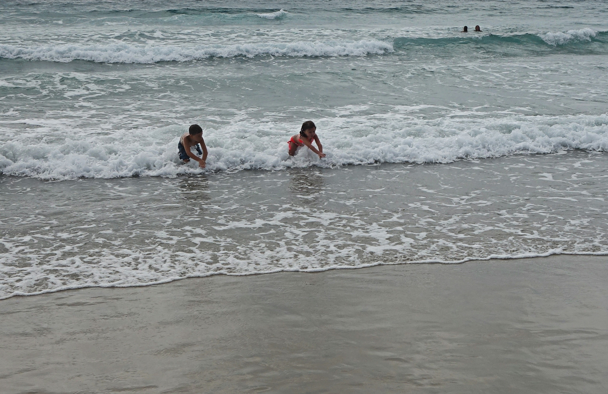 DSC07367 4474
