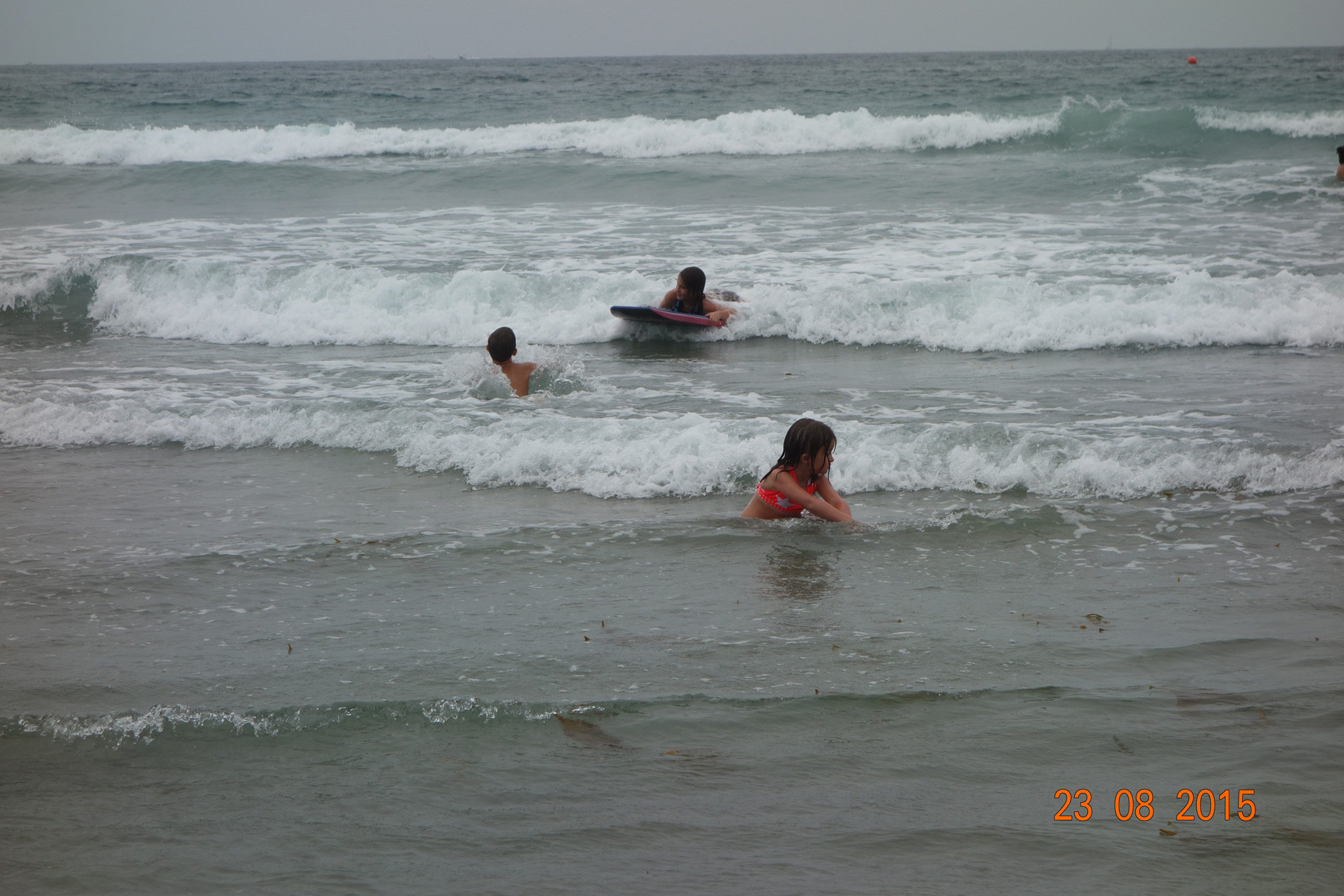 DSC07421 4393