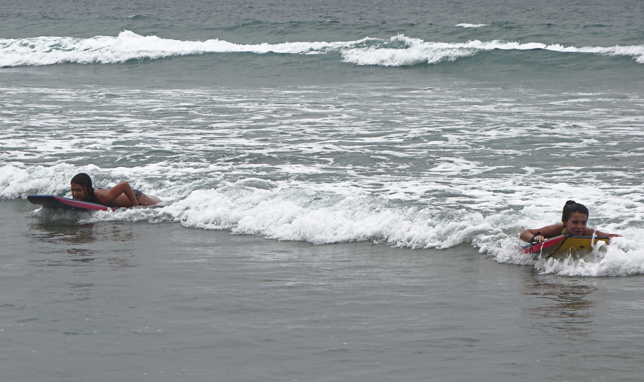 DSC07431 4403
