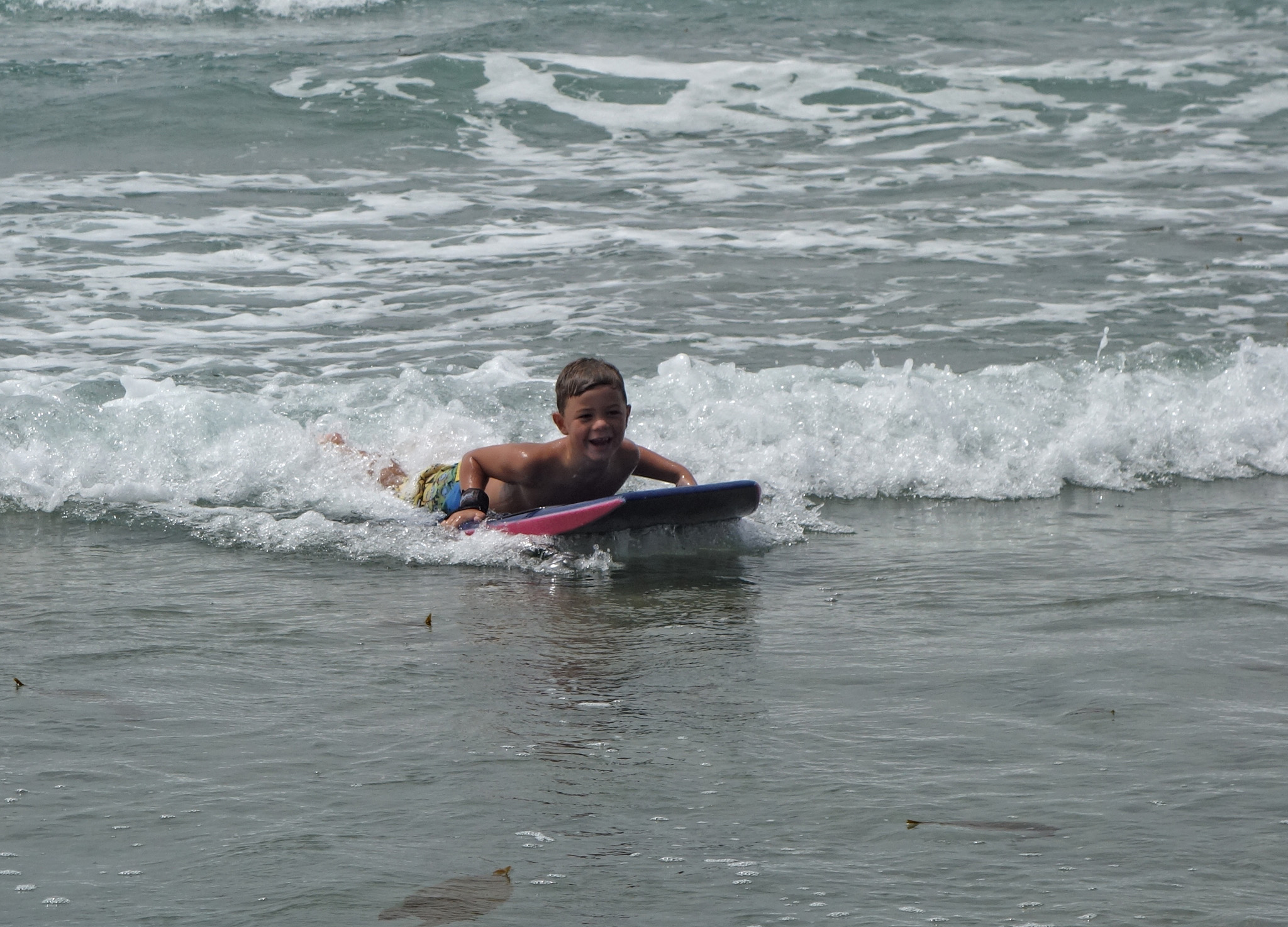 DSC07439 4411