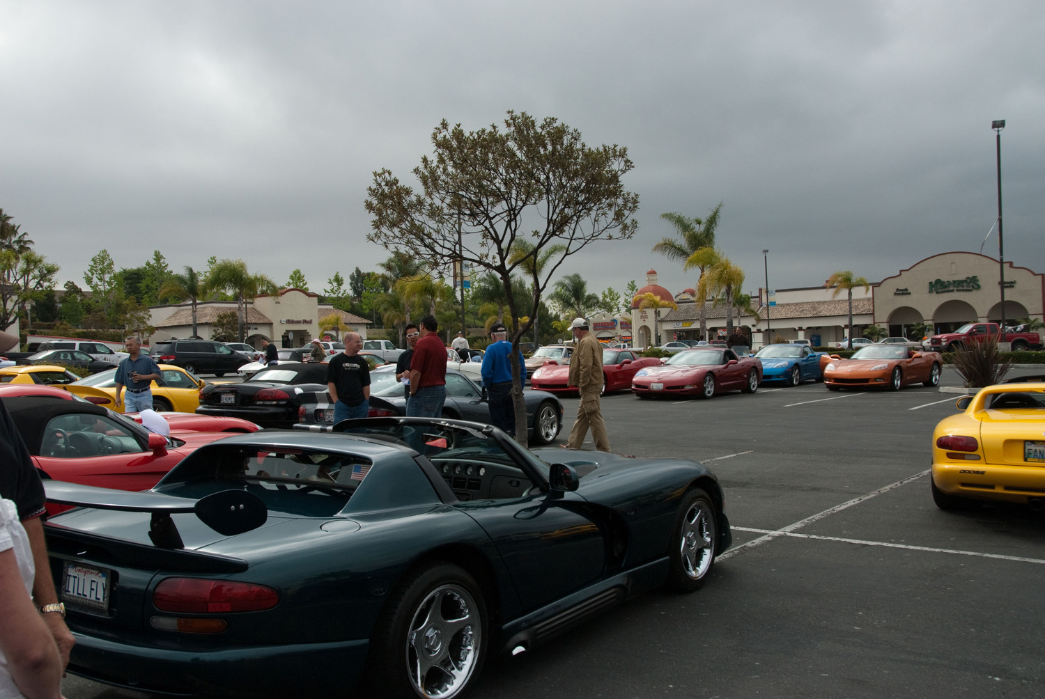 DSC_0007