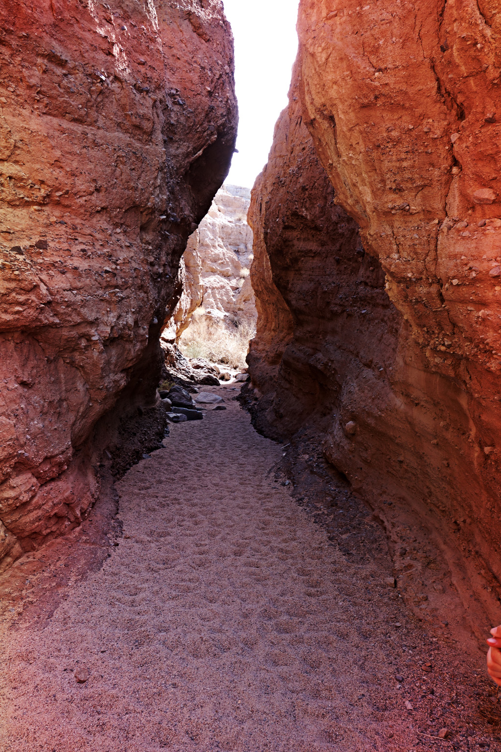 DSC06535 4006