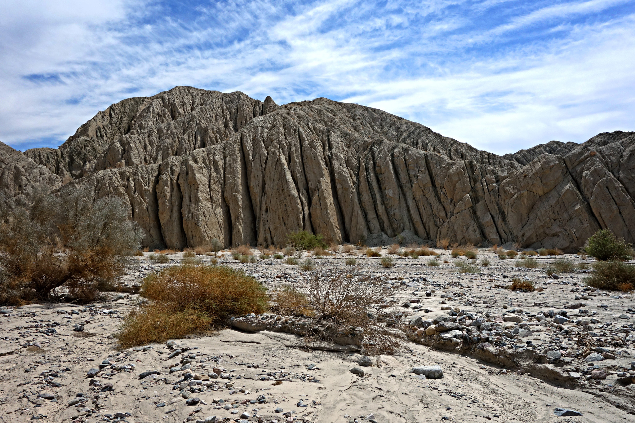 DSC06548 4019