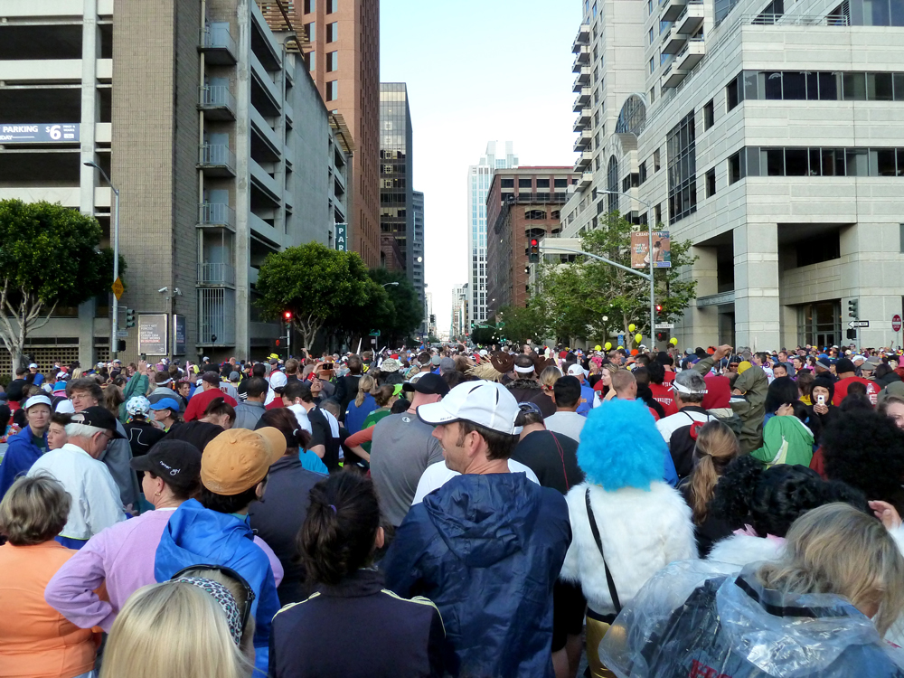 P1010990