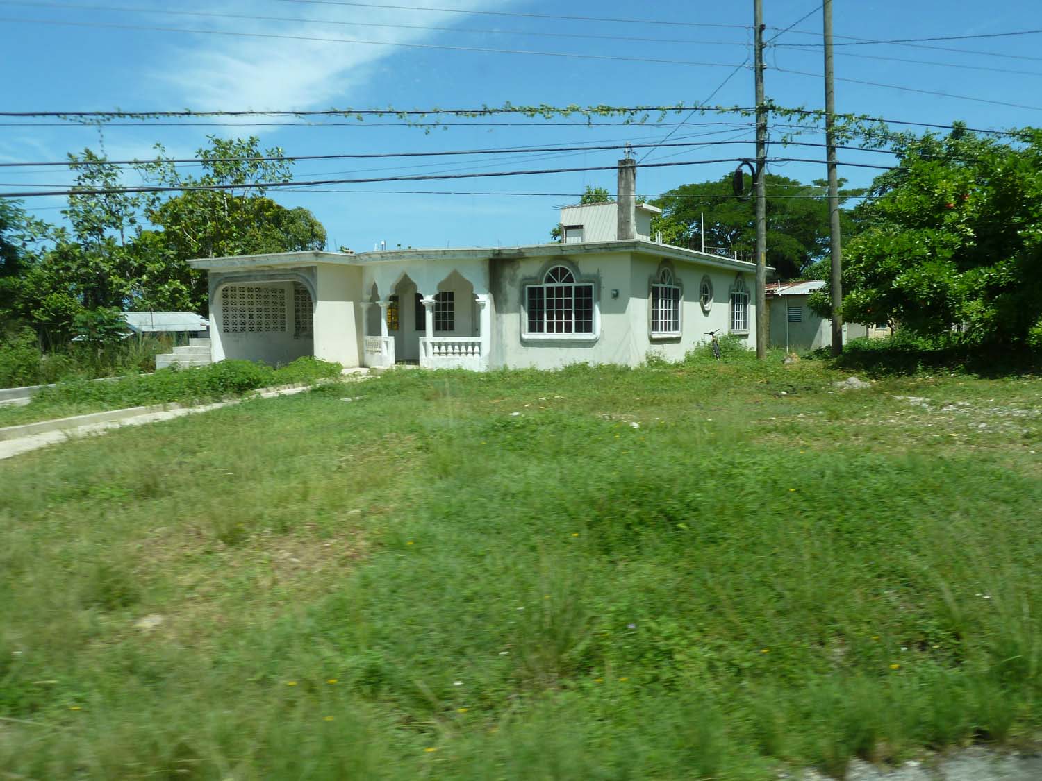 P1000447