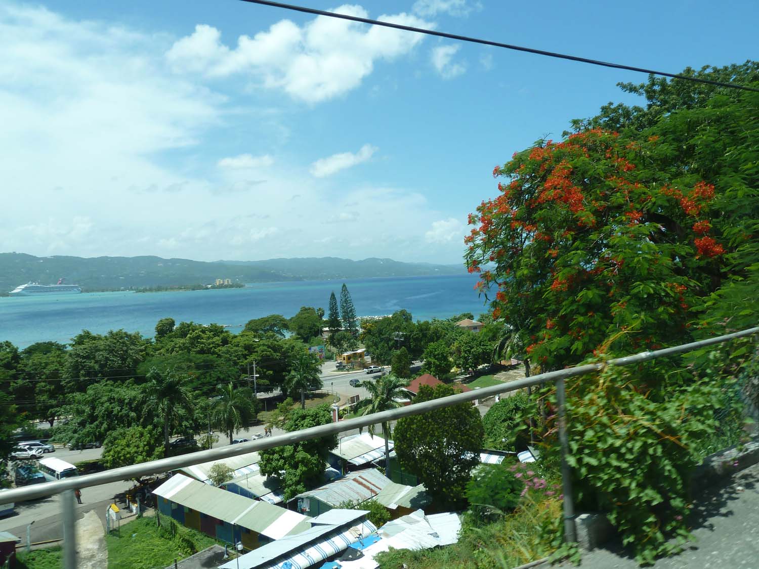 P1000539