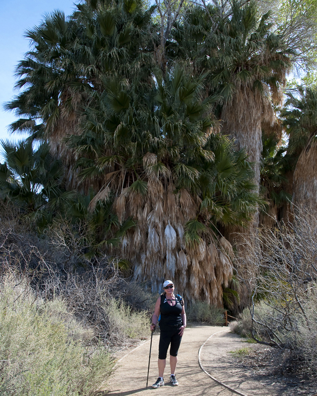 Joshua Tree March 2011