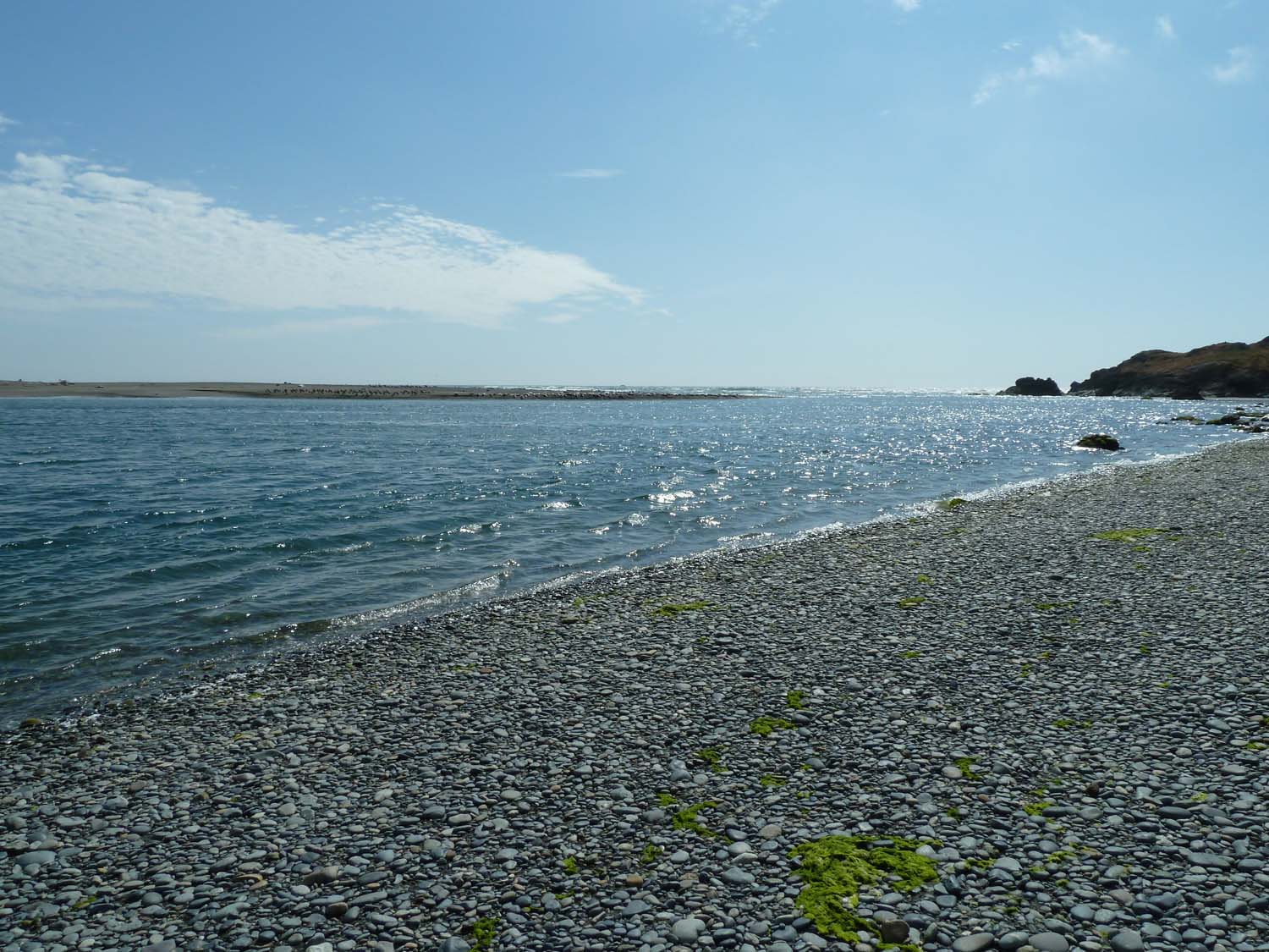 P1000246