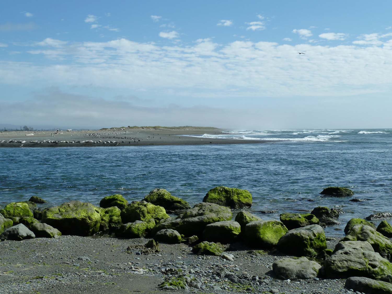 P1000265
