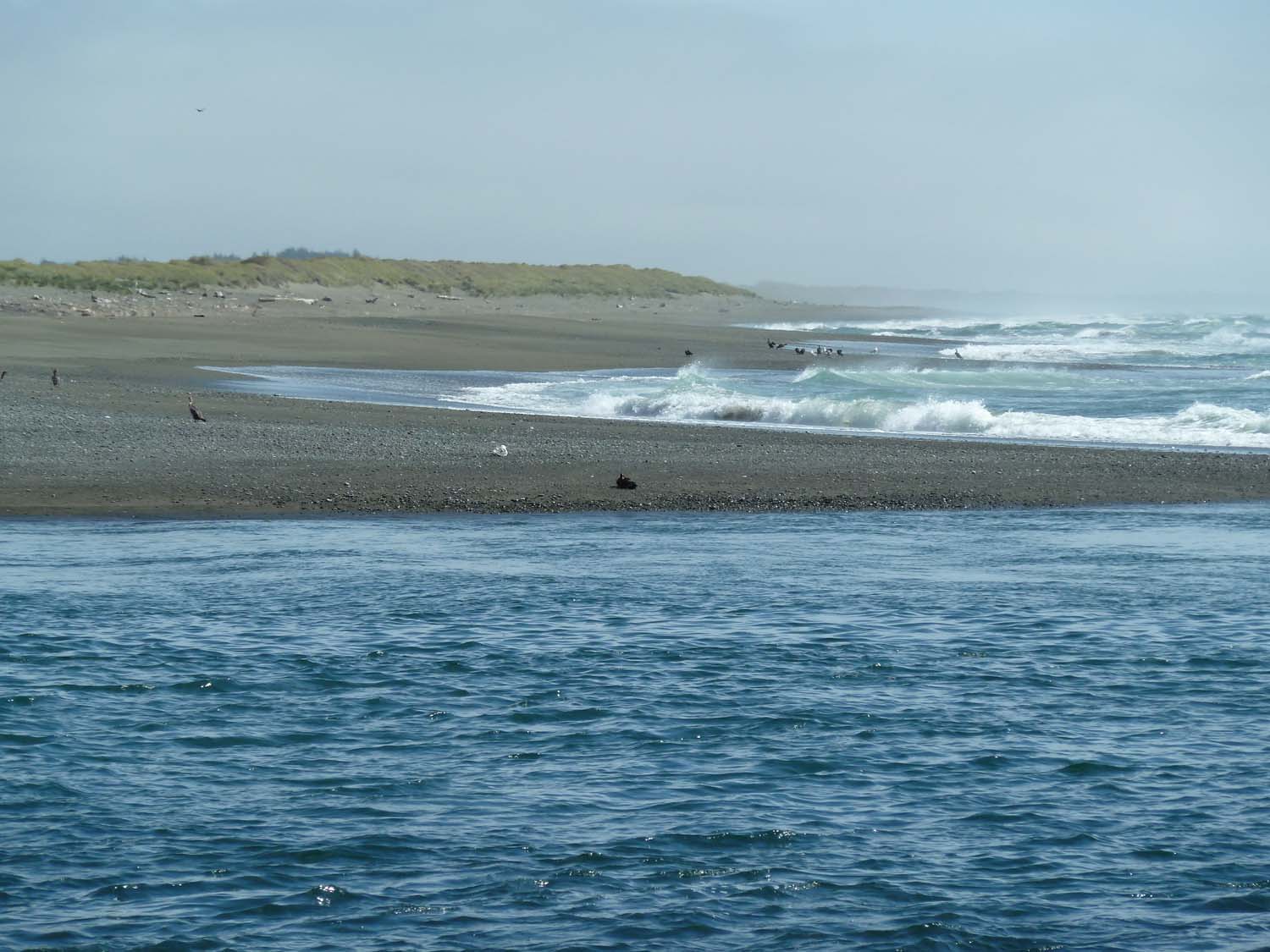 P1000266